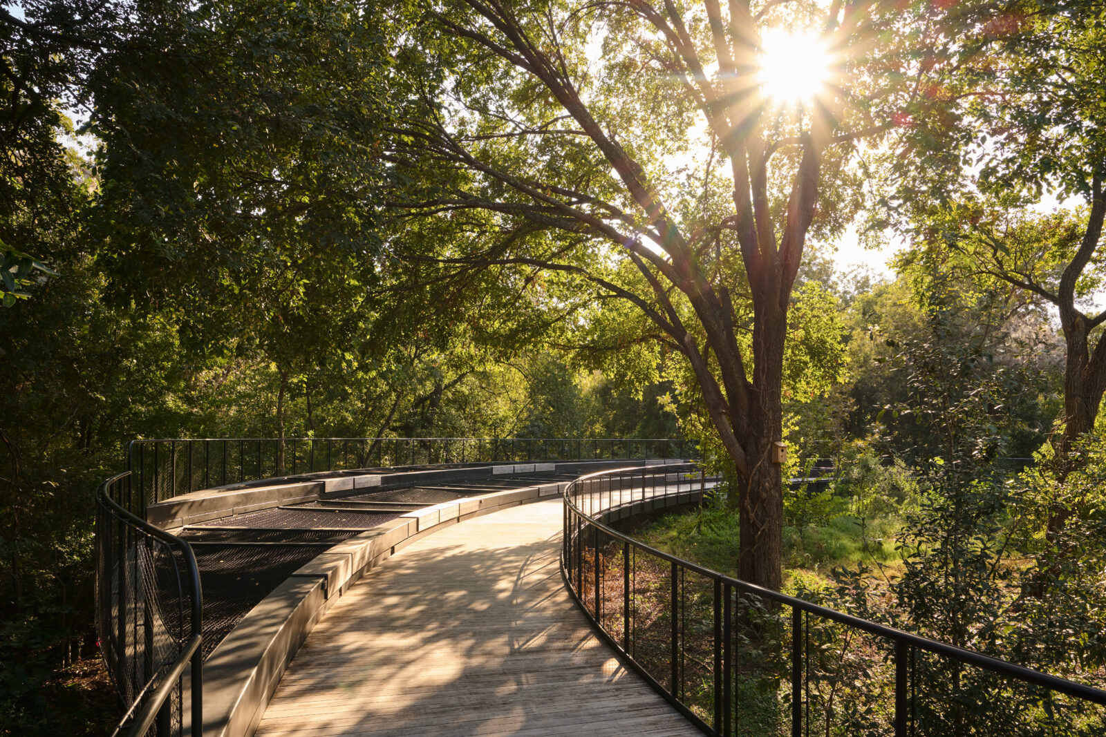 SpringdaleGreen_121224_BKV_076